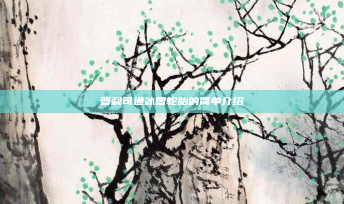 普利司通冰雪轮胎的简单介绍