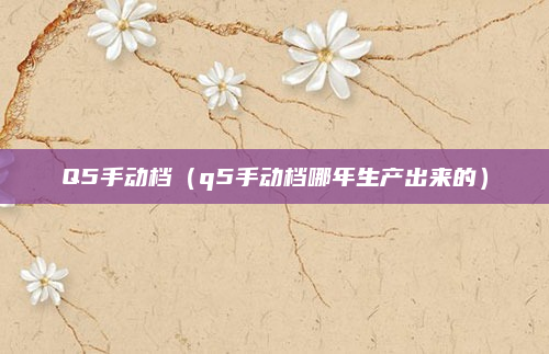 Q5手动档(q5手动档哪年生产出来的)
