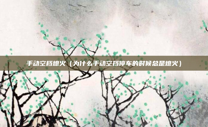 手动空档熄火(为什么手动空挡停车的时候总是熄火)