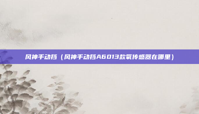 风神手动挡（风神手动挡A6013款氧传感器在哪里）