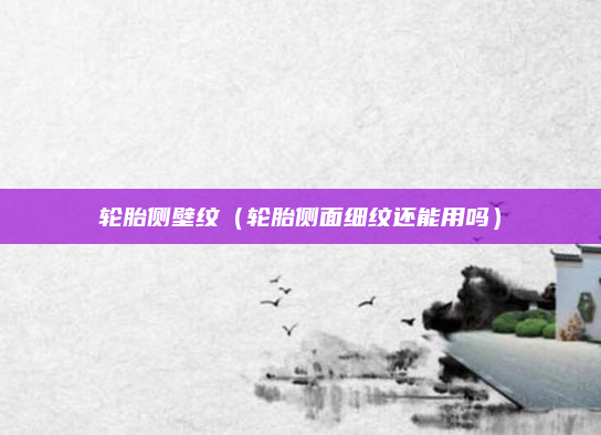 轮胎侧壁纹（轮胎侧面细纹还能用吗）