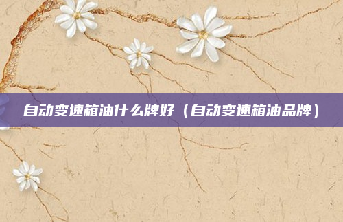 自动变速箱油什么牌好(自动变速箱油品牌)