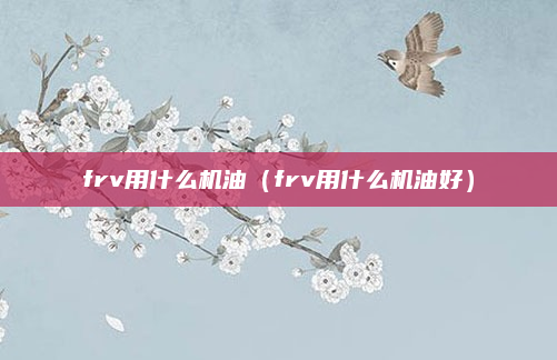 frv用什么机油(frv用什么机油好)