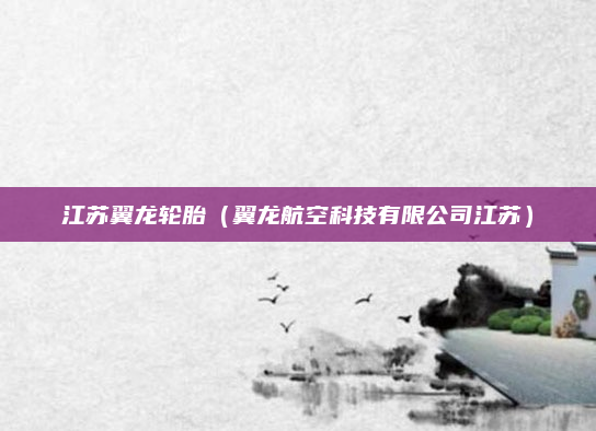 江苏翼龙轮胎(翼龙航空科技有限公司江苏)