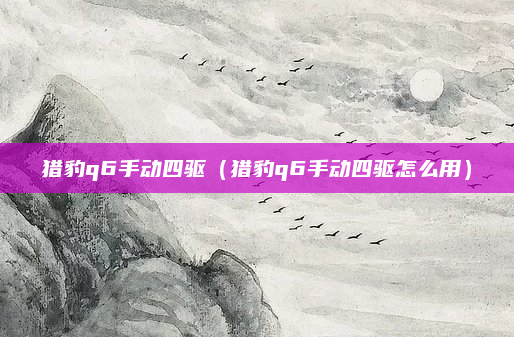 猎豹q6手动四驱(猎豹q6手动四驱怎么用)
