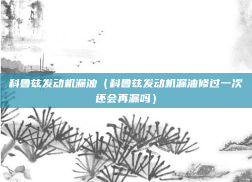科鲁兹发动机漏油(科鲁兹发动机漏油修过一次还会再漏吗)