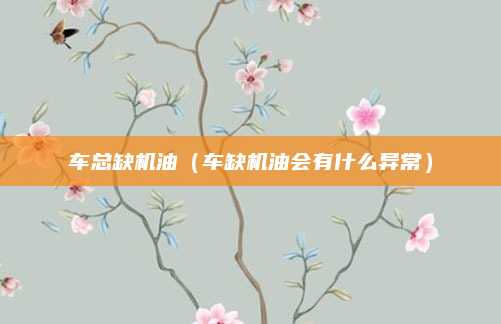 车总缺机油(车缺机油会有什么异常)