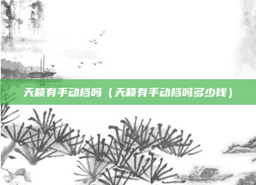 天籁有手动档吗（天籁有手动档吗多少钱）