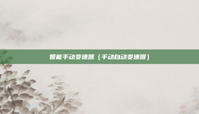 智能手动变速器(手动自动变速器)