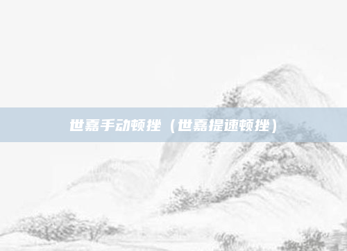 世嘉手动顿挫(世嘉提速顿挫)