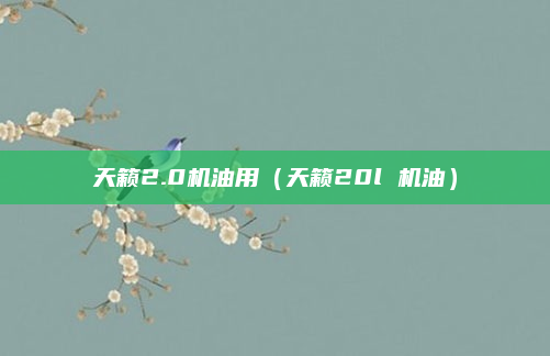 天籁2.0机油用(天籁20l 机油)