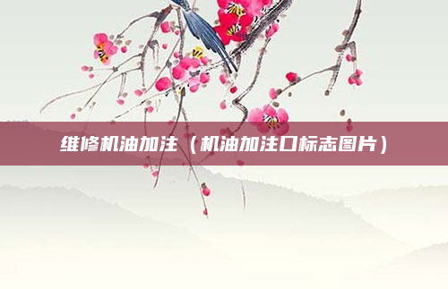 维修机油加注(机油加注口标志图片)