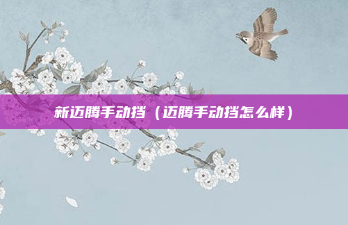 新迈腾手动挡(迈腾手动挡怎么样)