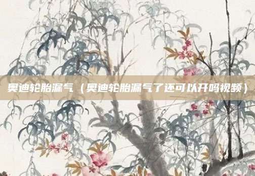 奥迪轮胎漏气（奥迪轮胎漏气了还可以开吗视频）