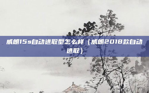 威朗15s自动进取型怎么样(威朗2018款自动进取)