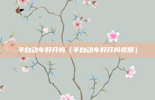 半自动车好开吗(半自动车好开吗视频)