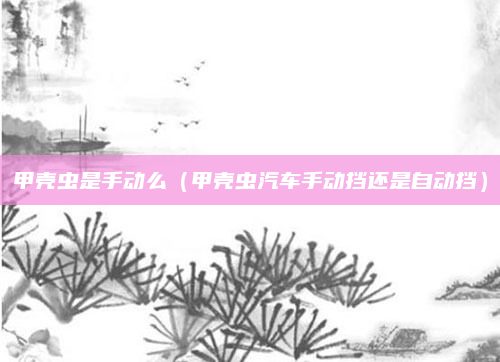 甲壳虫是手动么(甲壳虫汽车手动挡还是自动挡)