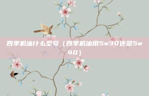 四季机油什么型号(四季机油用5w30还是5w40)