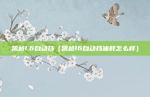 凯越1.6自动挡（凯越16自动挡油耗怎么样）