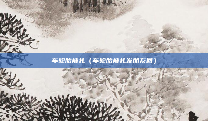 车轮胎被扎(车轮胎被扎发朋友圈)