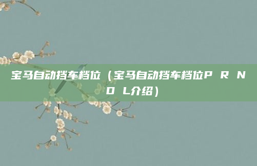 宝马自动挡车档位(宝马自动挡车档位P R N D L介绍)
