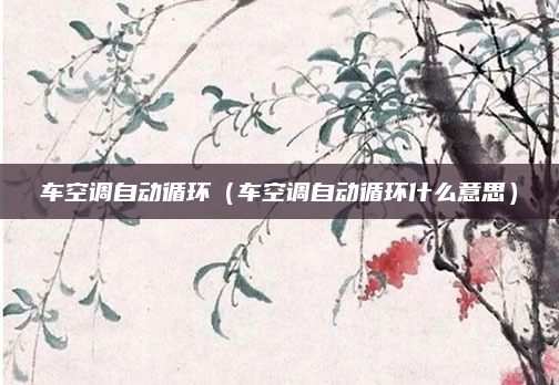 车空调自动循环（车空调自动循环什么意思）