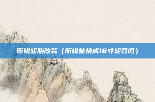 昕锐轮胎改装(昕锐能换成16寸轮毂吗)