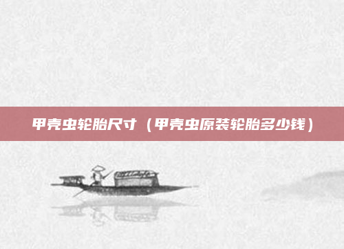 甲壳虫轮胎尺寸（甲壳虫原装轮胎多少钱）