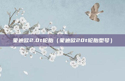 蒙迪欧2.0t轮胎(蒙迪欧20t轮胎型号)