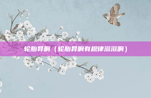 轮胎异响（轮胎异响有规律滋滋响）