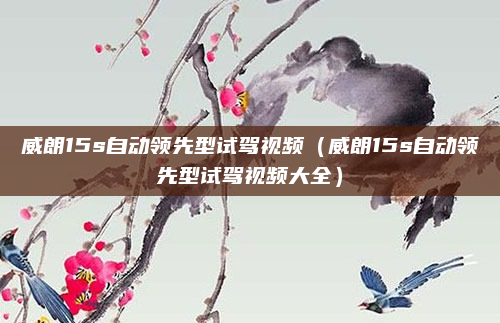 威朗15s自动领先型试驾视频（威朗15s自动领先型试驾视频大全）