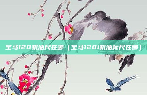 宝马120机油尺在哪(宝马120i机油标尺在哪)