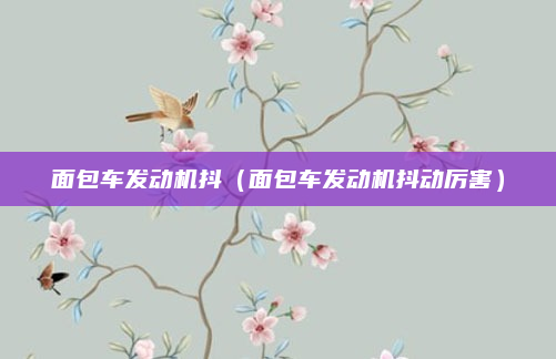 面包车发动机抖(面包车发动机抖动厉害)