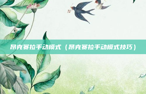 昂克赛拉手动模式(昂克赛拉手动模式技巧)