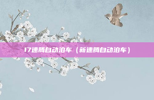 17速腾自动泊车(新速腾自动泊车)