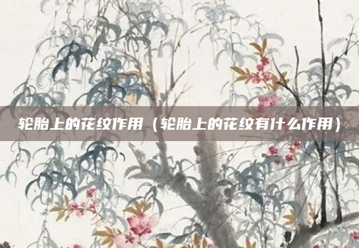 轮胎上的花纹作用(轮胎上的花纹有什么作用)