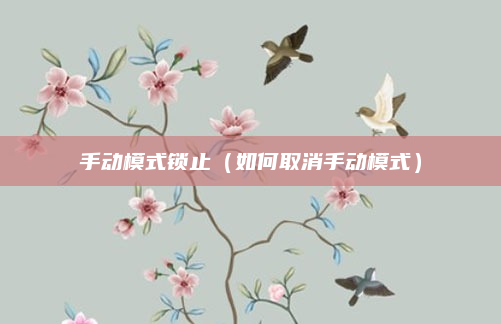 手动模式锁止(如何取消手动模式)