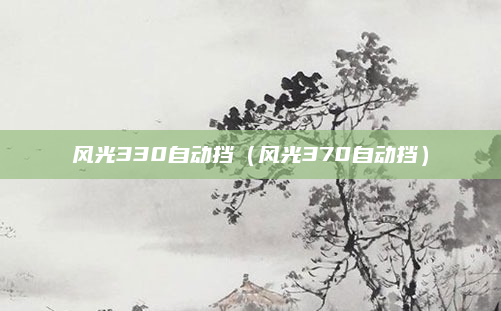 风光330自动挡(风光370自动挡)
