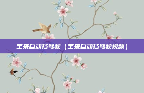 宝来自动挡驾驶(宝来自动挡驾驶视频)