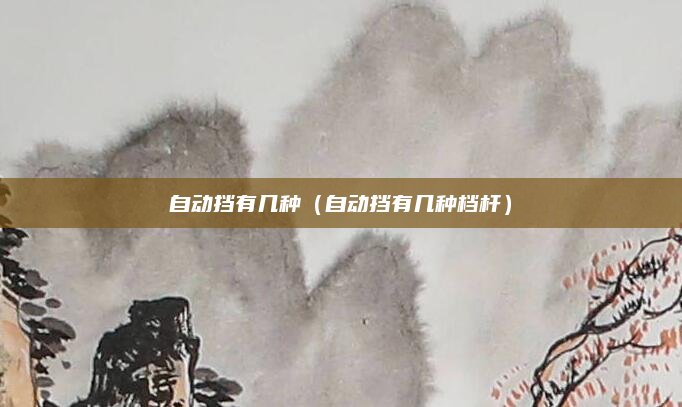 自动挡有几种(自动挡有几种档杆)