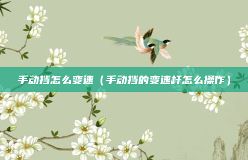 手动挡怎么变速(手动挡的变速杆怎么操作)