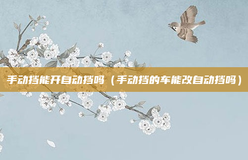 手动挡能开自动挡吗(手动挡的车能改自动挡吗)