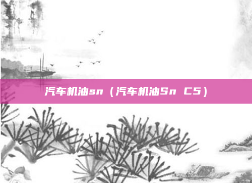 汽车机油sn（汽车机油Sn C5）