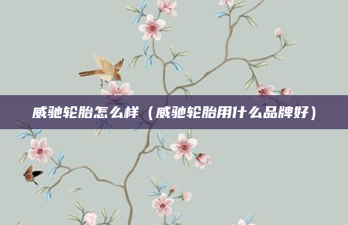 威驰轮胎怎么样(威驰轮胎用什么品牌好)