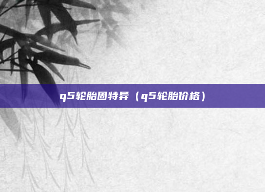 q5轮胎固特异（q5轮胎价格）