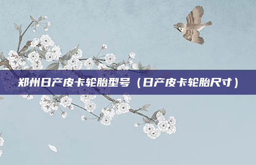 郑州日产皮卡轮胎型号（日产皮卡轮胎尺寸）