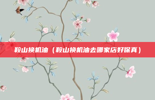 鞍山换机油（鞍山换机油去哪家店好保真）