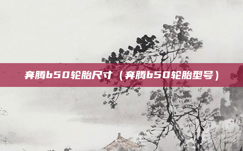 奔腾b50轮胎尺寸(奔腾b50轮胎型号)
