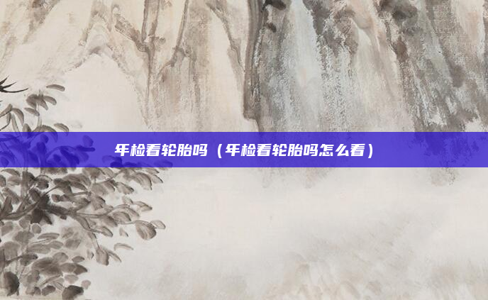 年检看轮胎吗（年检看轮胎吗怎么看）