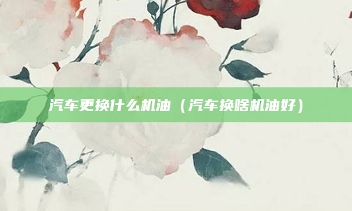 汽车更换什么机油（汽车换啥机油好）